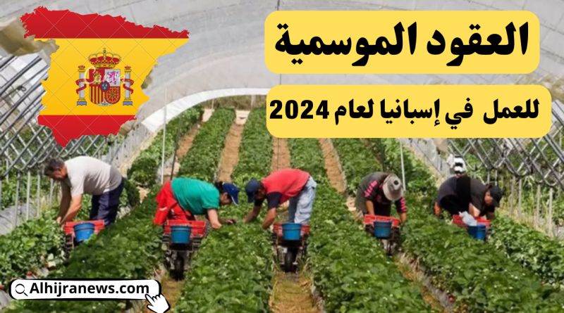 فرص وتفاصيل العقود الموسمية للعمل في إسبانيا لعام 2024